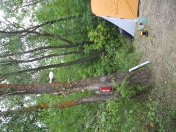 exp-zr-2009 164